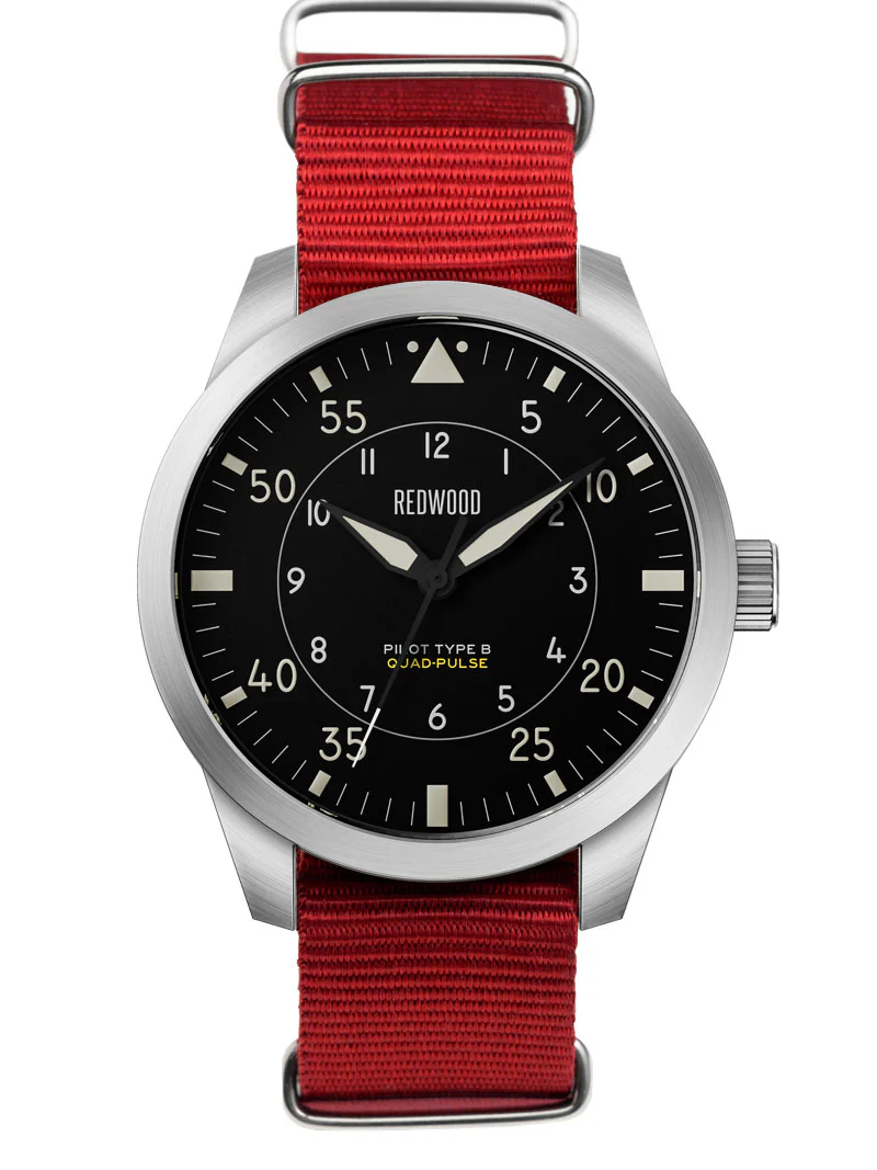 Pilot Type B (Quad-Pulse) - Image 4