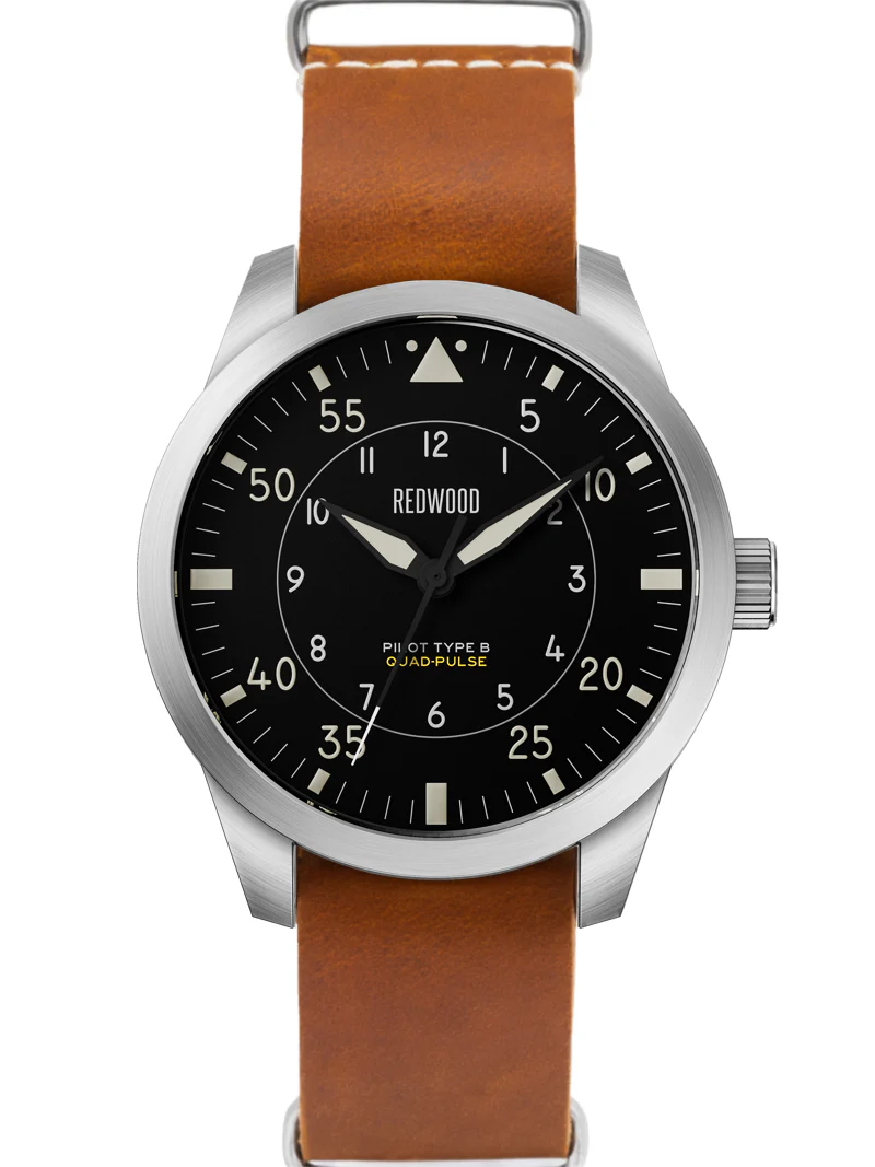 Pilot Type B (Quad-Pulse) - Image 5